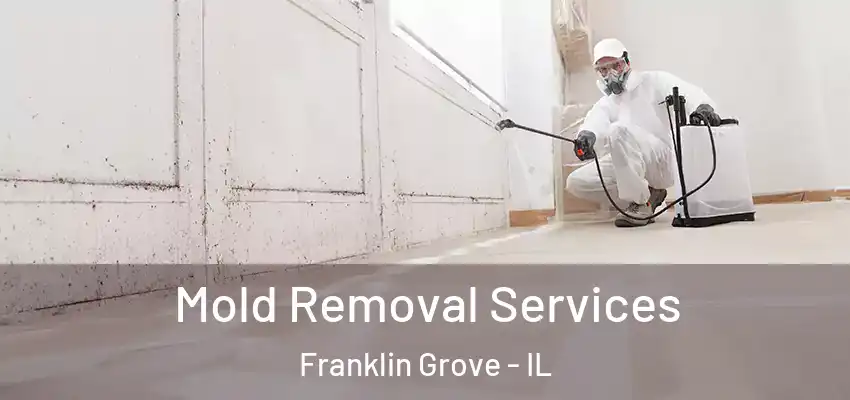  Mold Removal Services Franklin Grove - IL