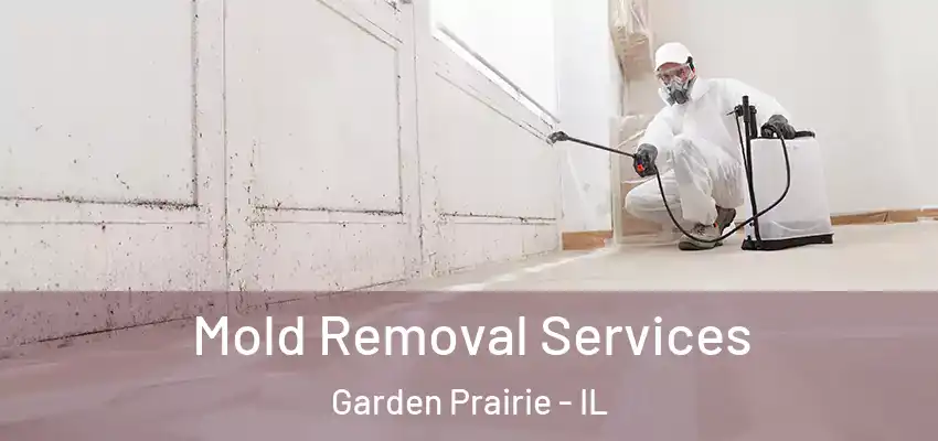  Mold Removal Services Garden Prairie - IL