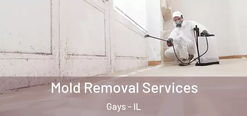  Mold Removal Services Gays - IL