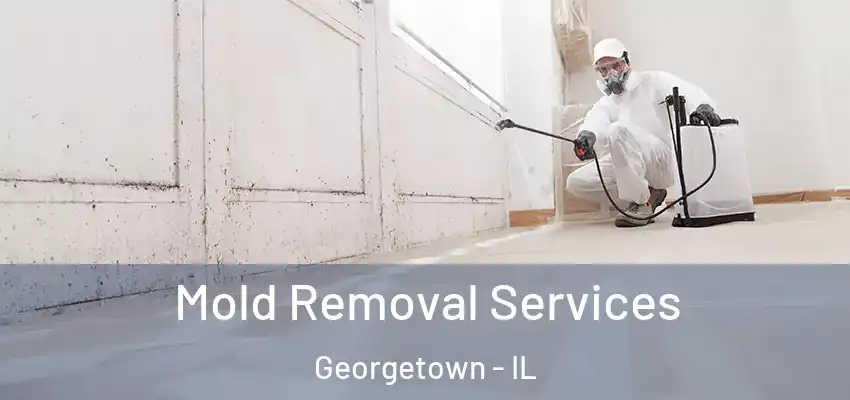  Mold Removal Services Georgetown - IL