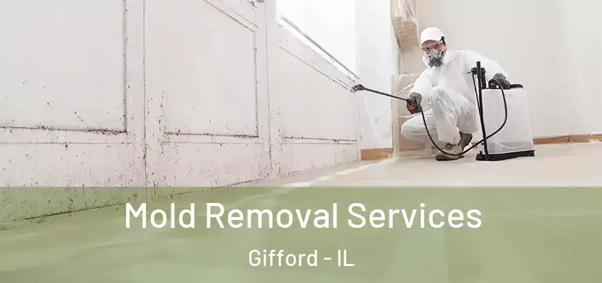  Mold Removal Services Gifford - IL