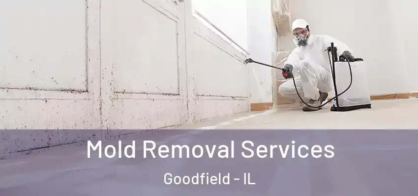 Mold Removal Services Goodfield - IL