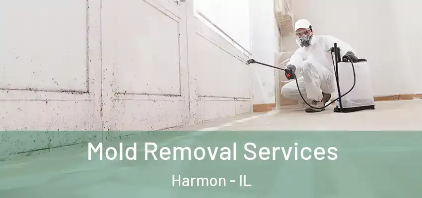  Mold Removal Services Harmon - IL