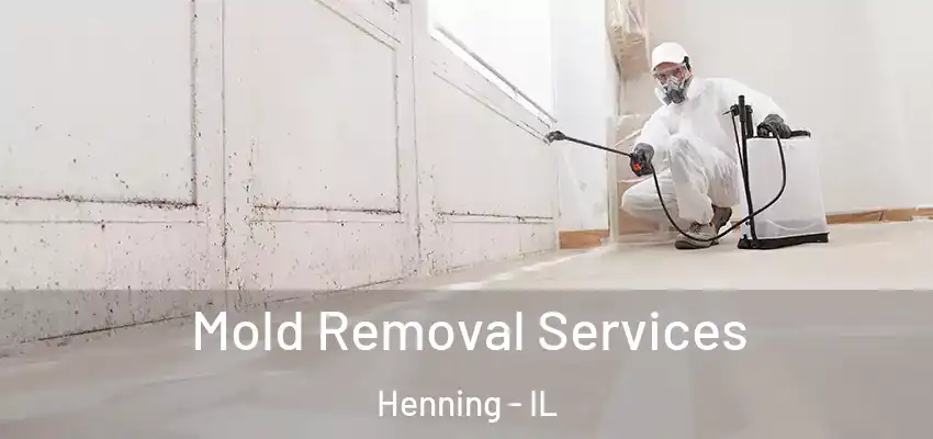 Mold Removal Services Henning - IL