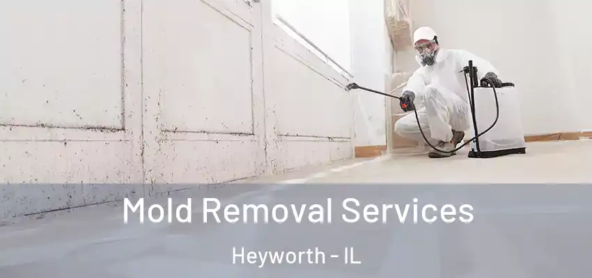  Mold Removal Services Heyworth - IL