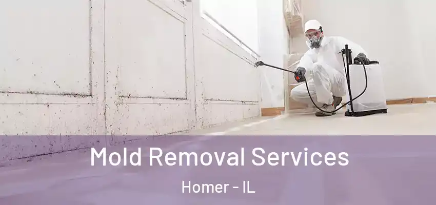  Mold Removal Services Homer - IL