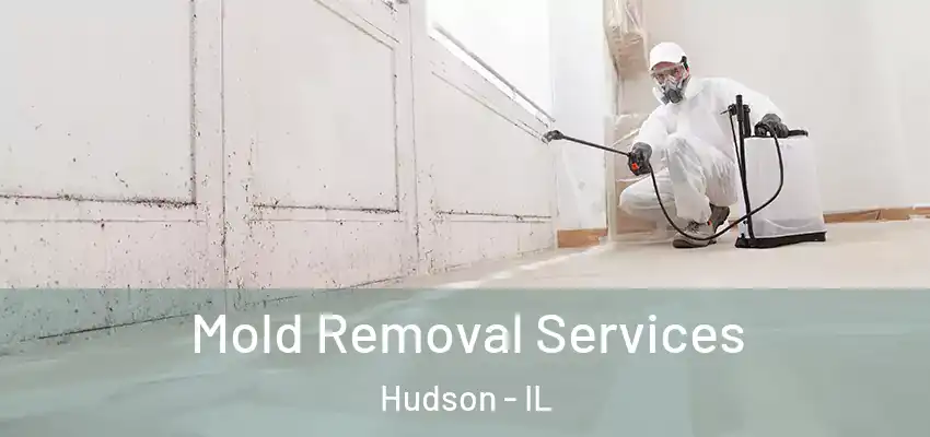  Mold Removal Services Hudson - IL
