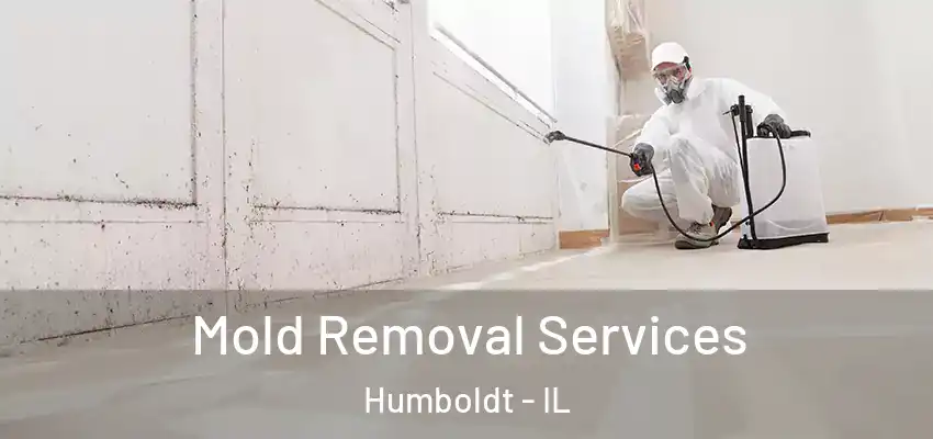  Mold Removal Services Humboldt - IL