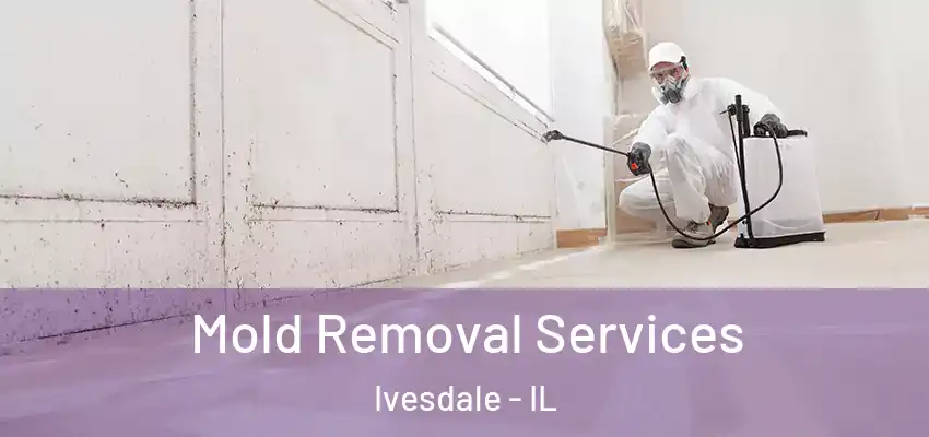  Mold Removal Services Ivesdale - IL