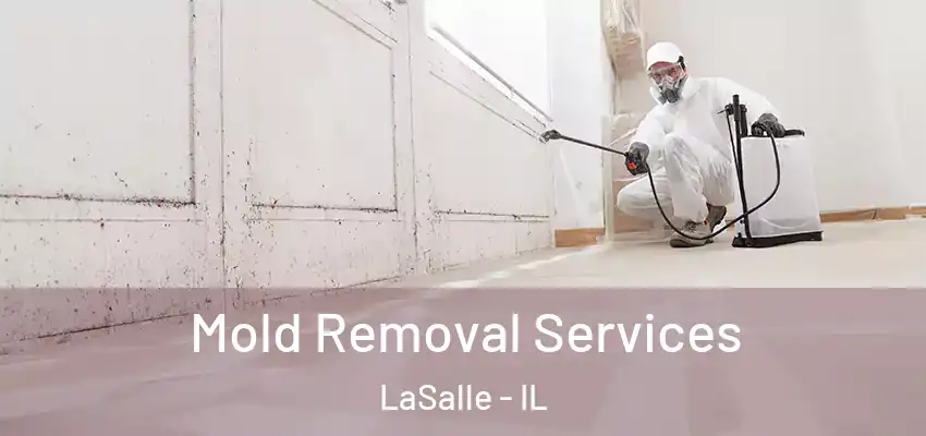  Mold Removal Services LaSalle - IL