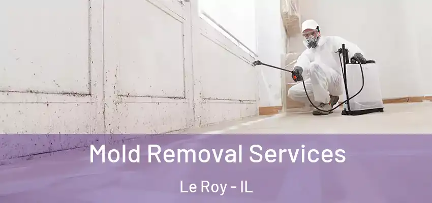  Mold Removal Services Le Roy - IL