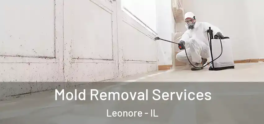  Mold Removal Services Leonore - IL