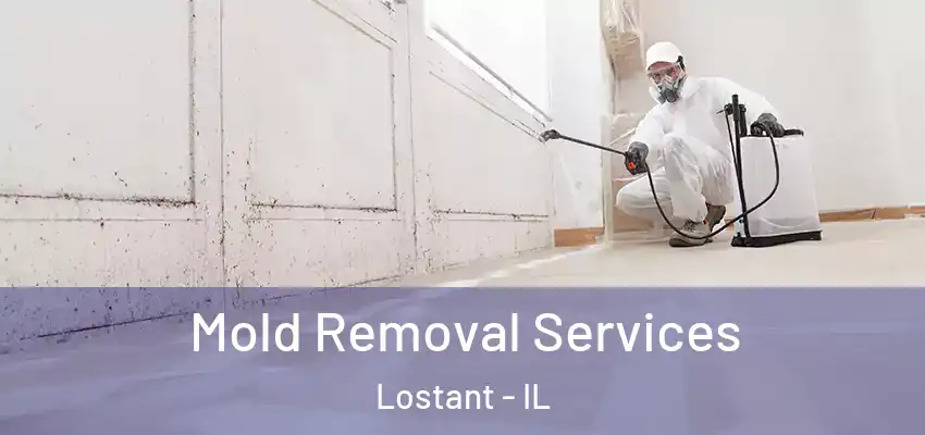  Mold Removal Services Lostant - IL
