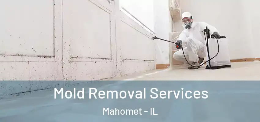  Mold Removal Services Mahomet - IL