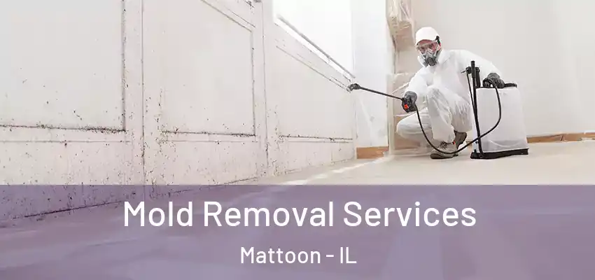  Mold Removal Services Mattoon - IL