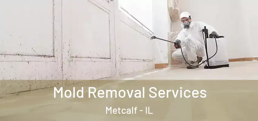  Mold Removal Services Metcalf - IL