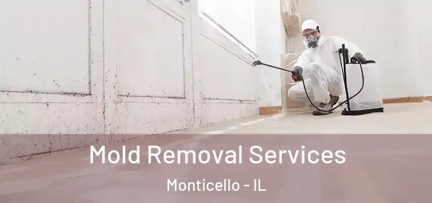  Mold Removal Services Monticello - IL