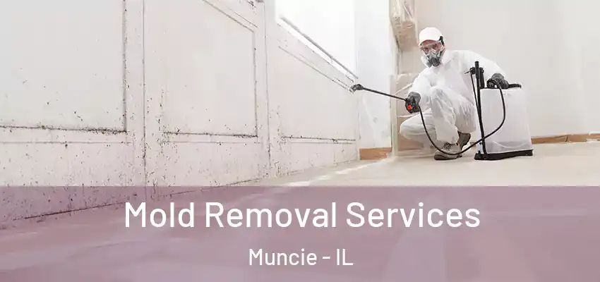 Mold Removal Services Muncie - IL