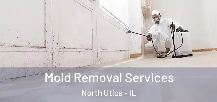  Mold Removal Services North Utica - IL