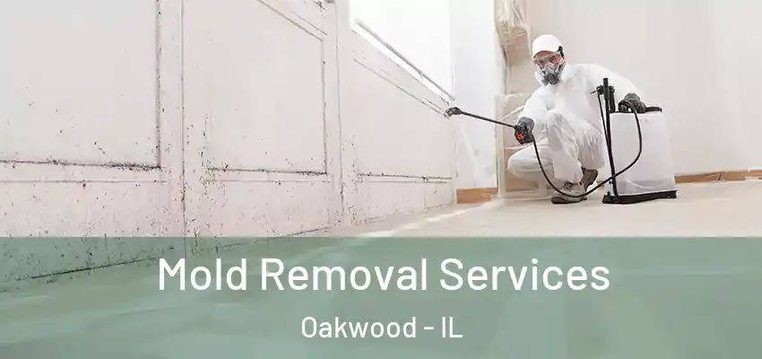  Mold Removal Services Oakwood - IL