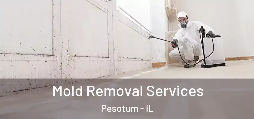  Mold Removal Services Pesotum - IL