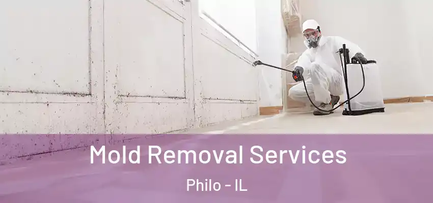  Mold Removal Services Philo - IL