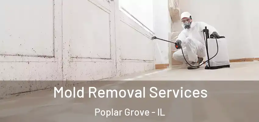  Mold Removal Services Poplar Grove - IL