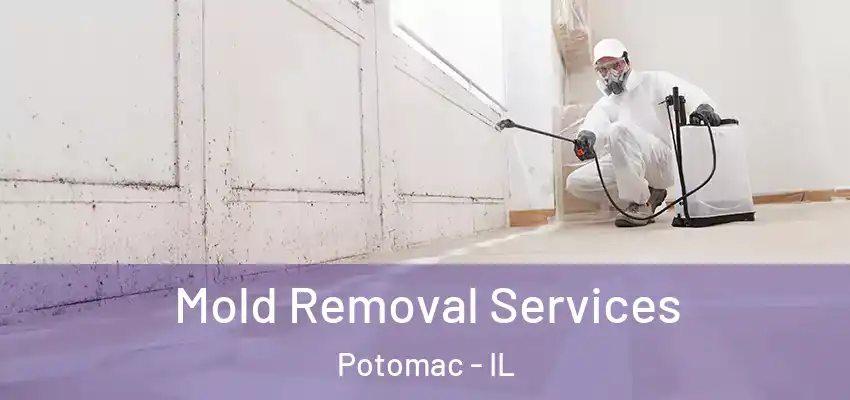 Mold Removal Services Potomac - IL