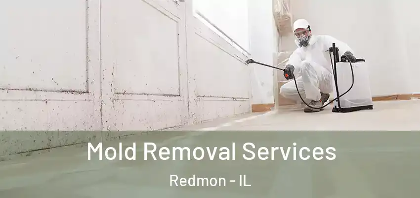 Mold Removal Services Redmon - IL