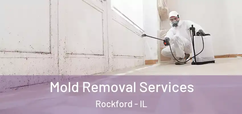  Mold Removal Services Rockford - IL