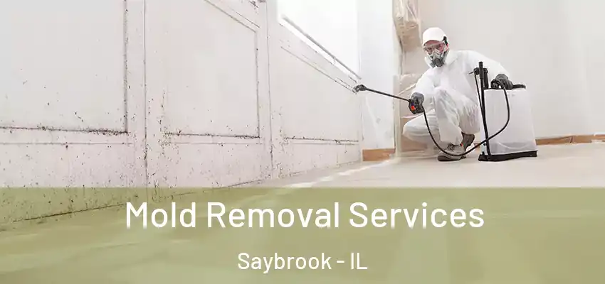  Mold Removal Services Saybrook - IL