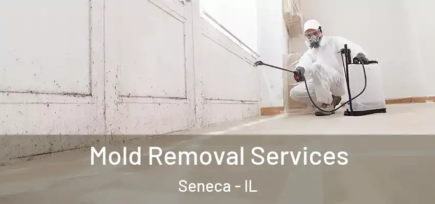  Mold Removal Services Seneca - IL
