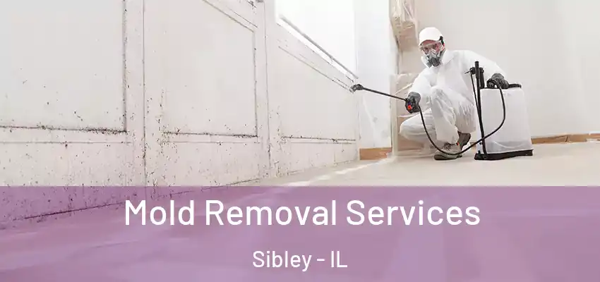  Mold Removal Services Sibley - IL