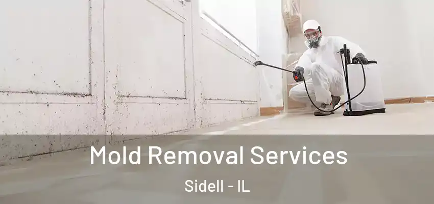  Mold Removal Services Sidell - IL