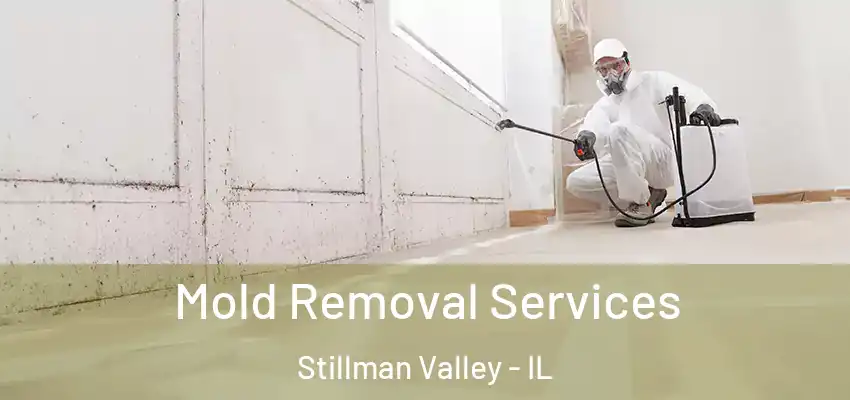  Mold Removal Services Stillman Valley - IL