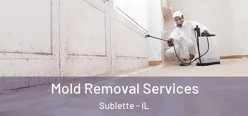  Mold Removal Services Sublette - IL