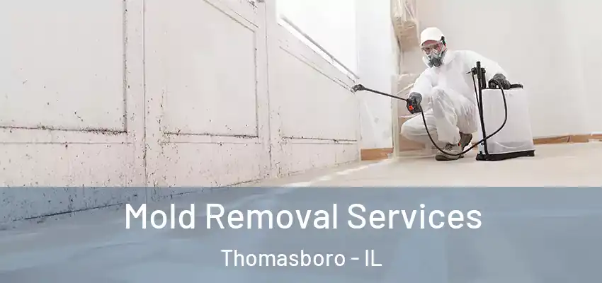 Mold Removal Services Thomasboro - IL