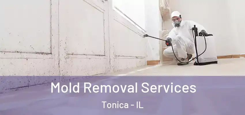  Mold Removal Services Tonica - IL