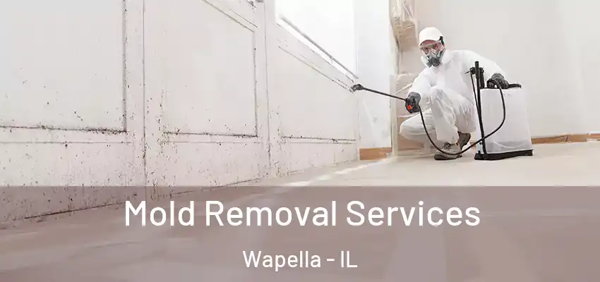  Mold Removal Services Wapella - IL