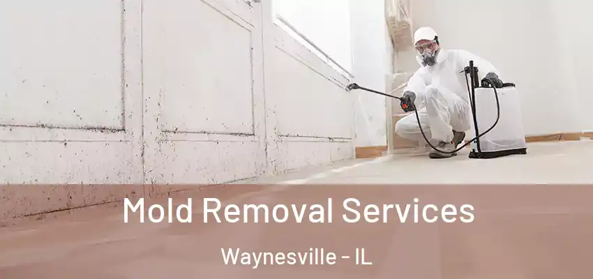  Mold Removal Services Waynesville - IL