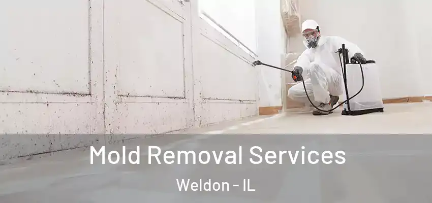  Mold Removal Services Weldon - IL