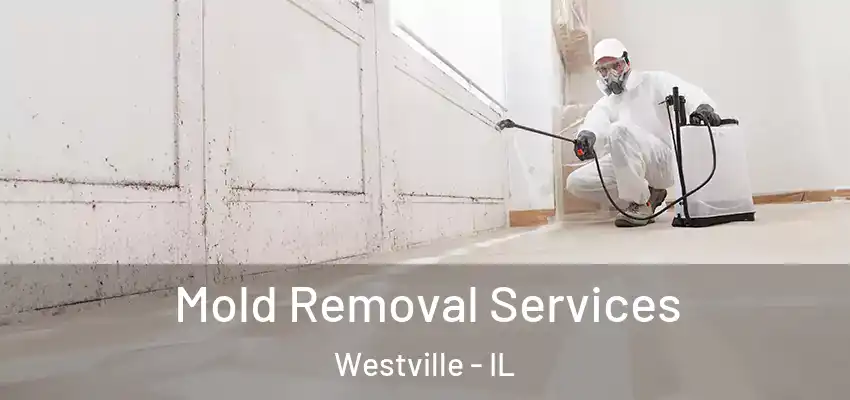  Mold Removal Services Westville - IL