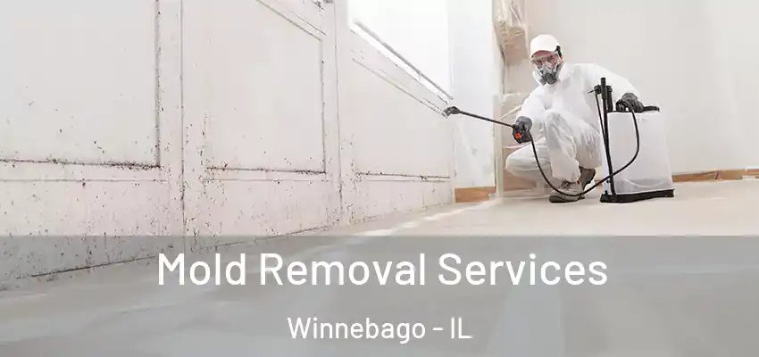  Mold Removal Services Winnebago - IL