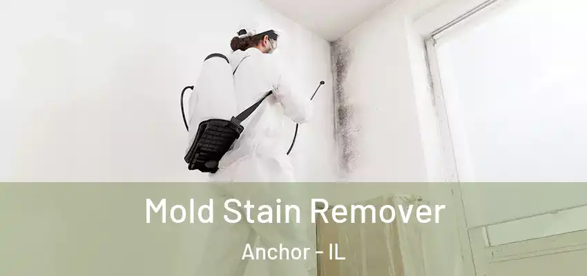  Mold Stain Remover Anchor - IL