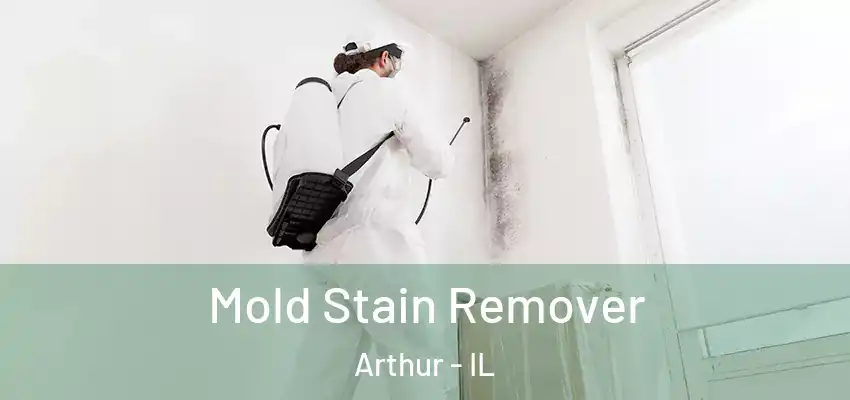  Mold Stain Remover Arthur - IL