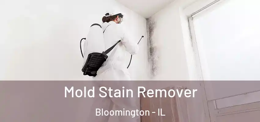 Mold Stain Remover Bloomington - IL