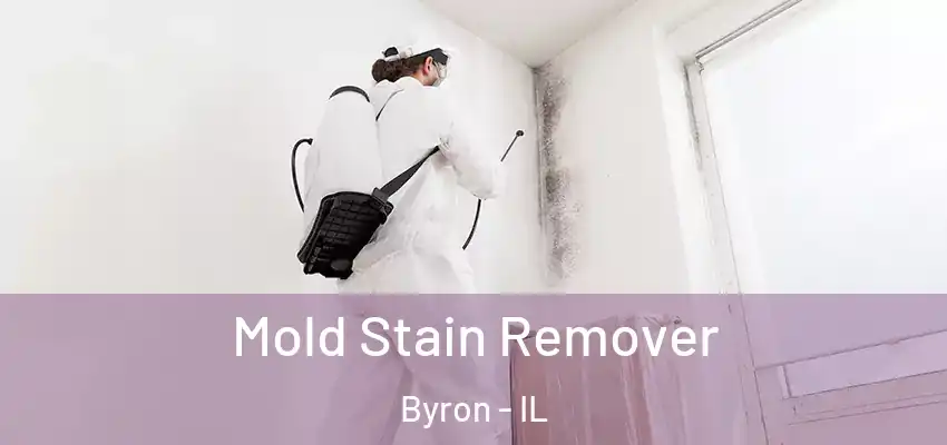  Mold Stain Remover Byron - IL