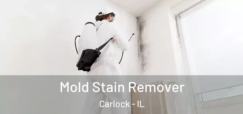  Mold Stain Remover Carlock - IL