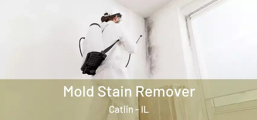  Mold Stain Remover Catlin - IL
