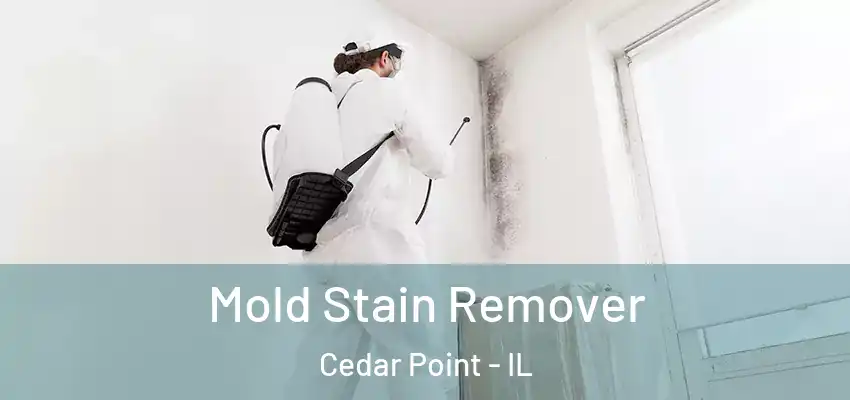  Mold Stain Remover Cedar Point - IL